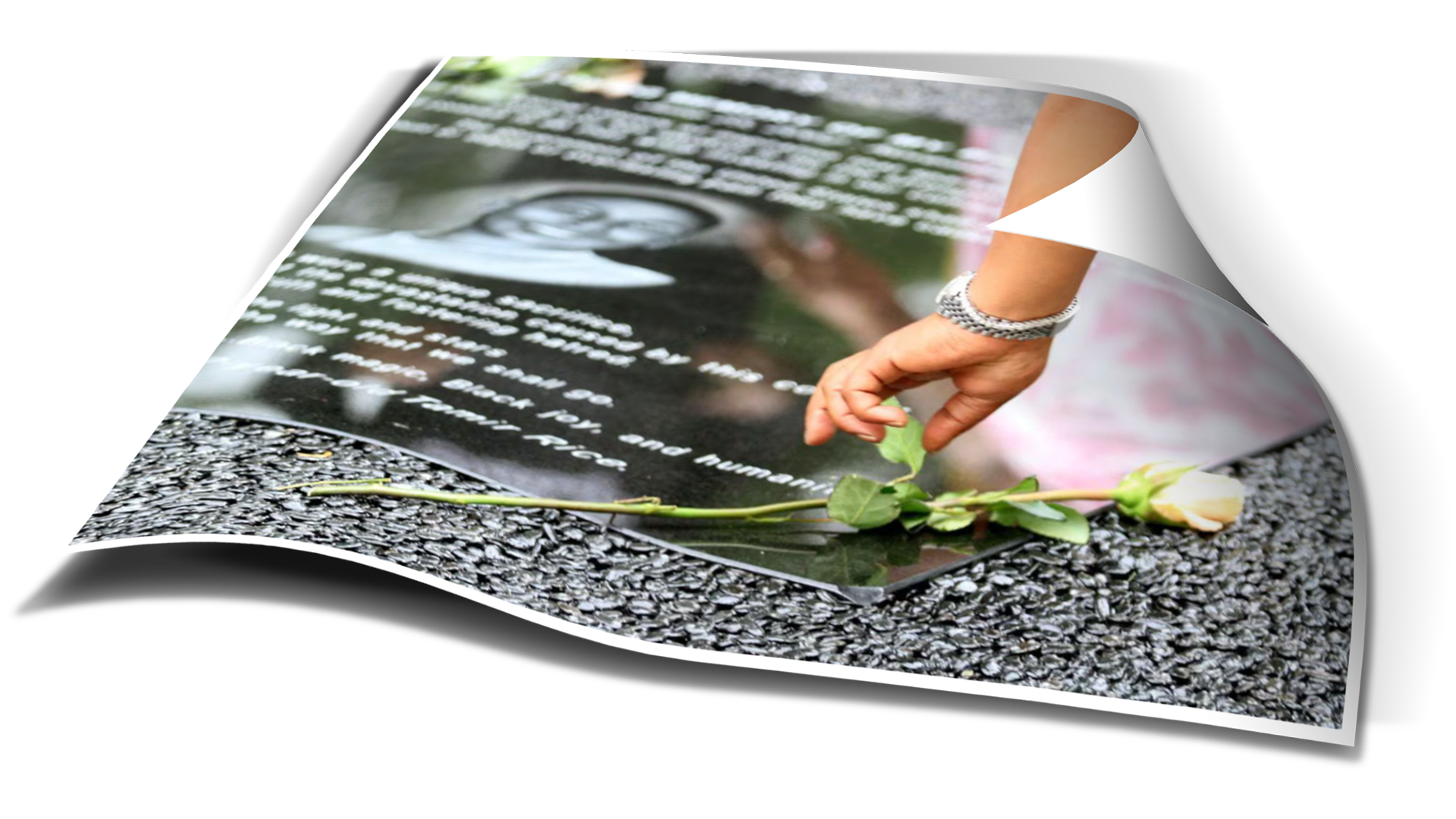 Header3Image–01